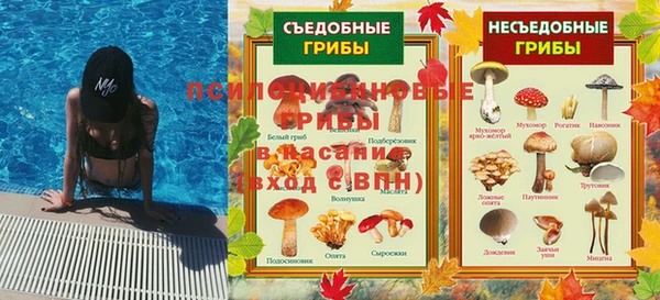 PSILOCYBIN Алексин