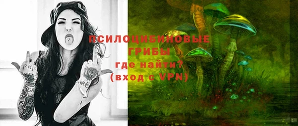 прущий лед Алексеевка